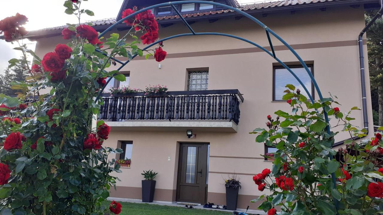Apartment Panorama Zrece Bagian luar foto