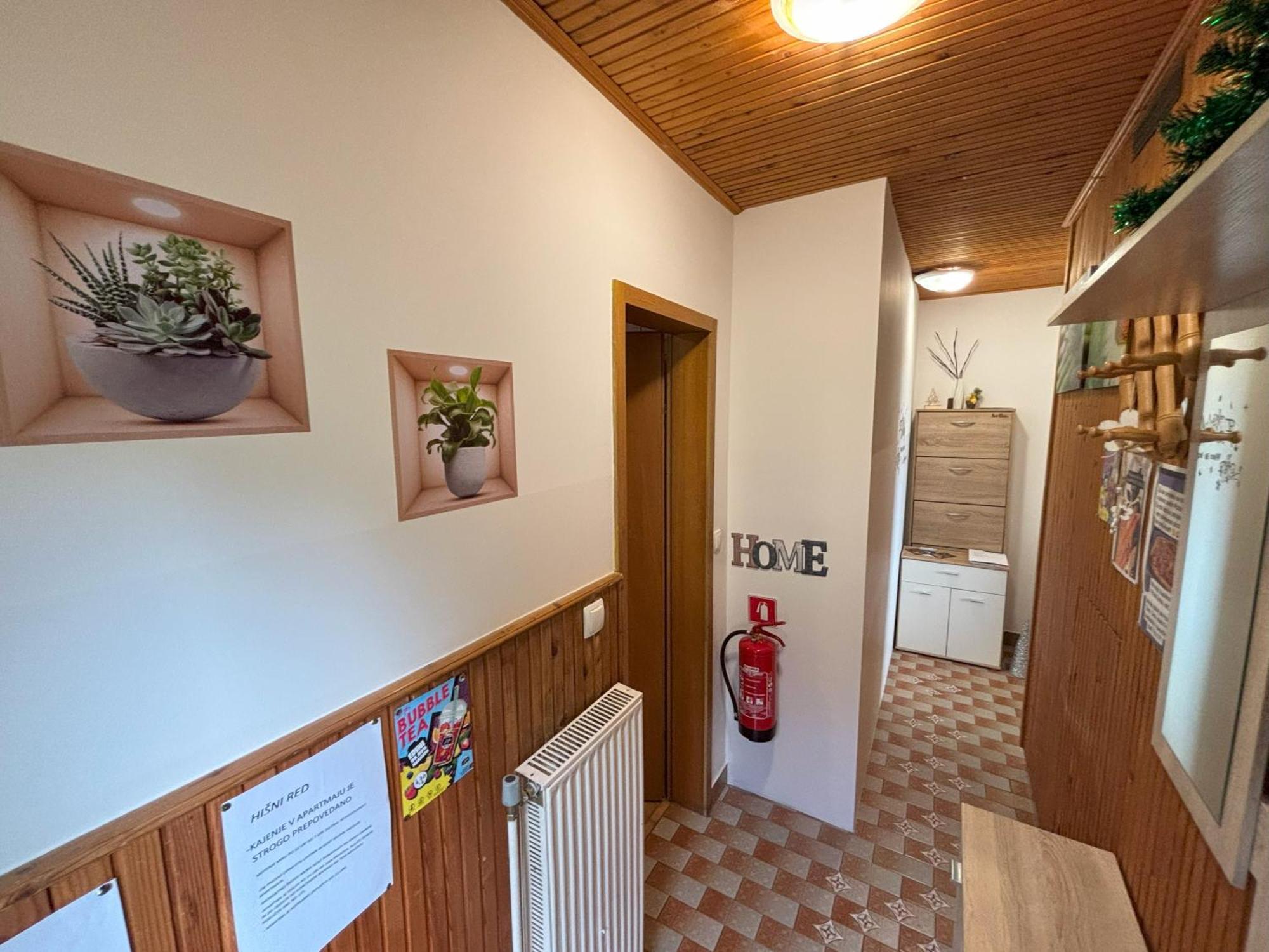 Apartment Panorama Zrece Bagian luar foto